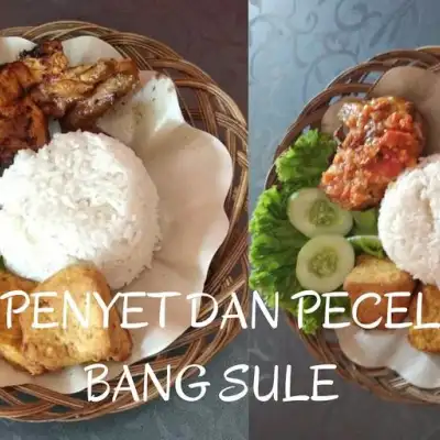 Ayam Penyet dan Pecel Lele Bang Sule, Sumur Batu