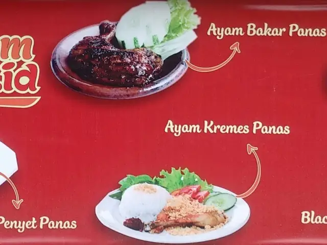 Gambar Makanan Ayam Mrothol.id 1