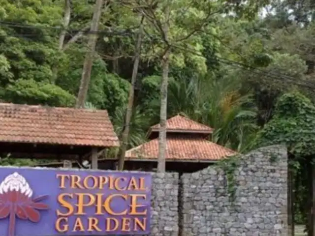 Tropical Spice Garden