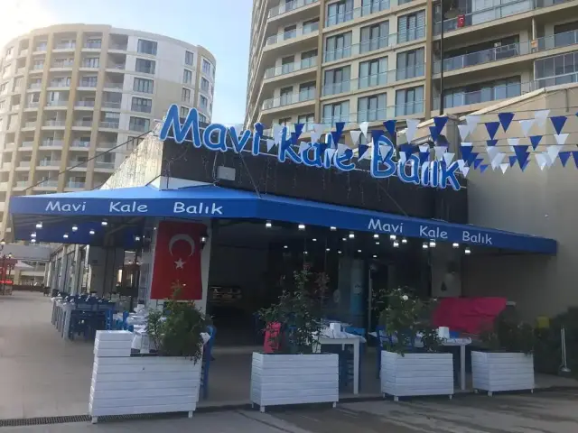 Mavi Kale Balık'nin yemek ve ambiyans fotoğrafları 2