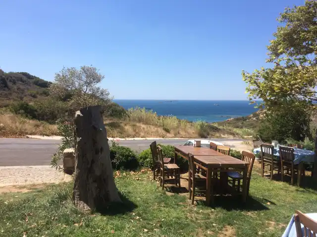 Manastir Cafe Restaurant'nin yemek ve ambiyans fotoğrafları 3