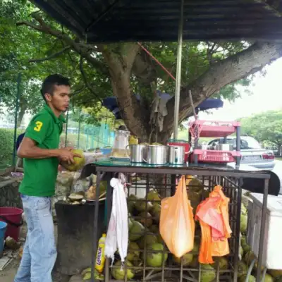Fresh Coconut Stall