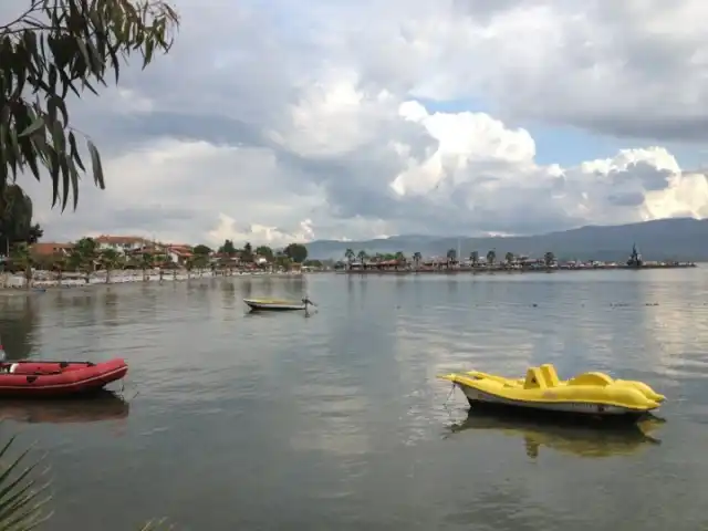 Okaliptüs Cafe'nin yemek ve ambiyans fotoğrafları 2