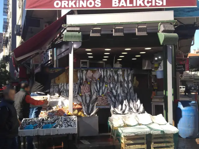 Orkinos Balık Lokantası'nin yemek ve ambiyans fotoğrafları 10