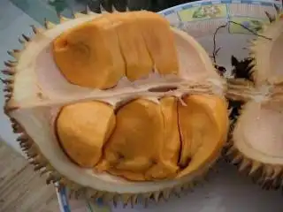 Erisha Durian crepes