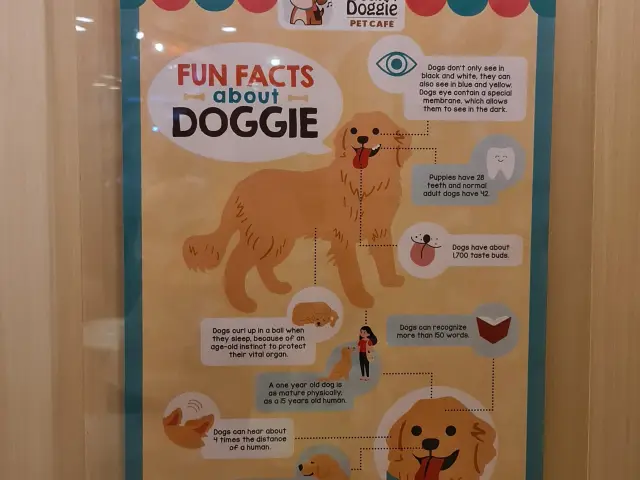 Gambar Makanan Boogie Doggie Pet Cafe 16