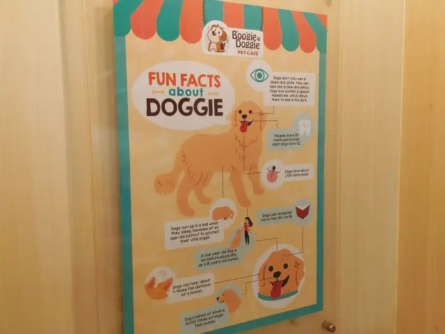 Gambar Makanan Boogie Doggie Pet Cafe 9