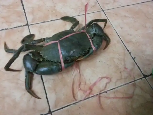 Gambar Makanan Mr. Crabs 8