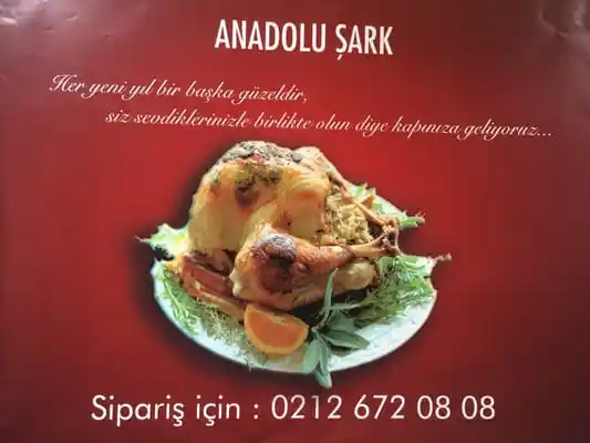 Anadolu Şark Sofrası'nin yemek ve ambiyans fotoğrafları 6