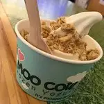 Moo Cow Frozen Yogurt Food Photo 2