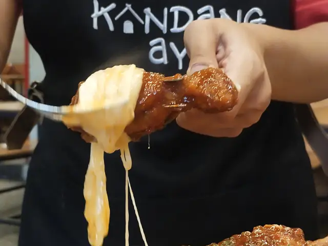 Gambar Makanan Kandang Ayam 6