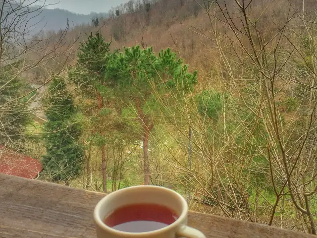 Kulindağ Dağ Evi'nin yemek ve ambiyans fotoğrafları 79