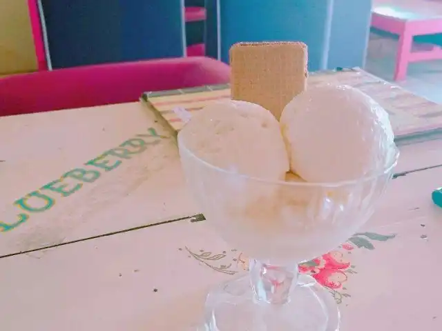 Gambar Makanan Blueberry Ice Cream 15
