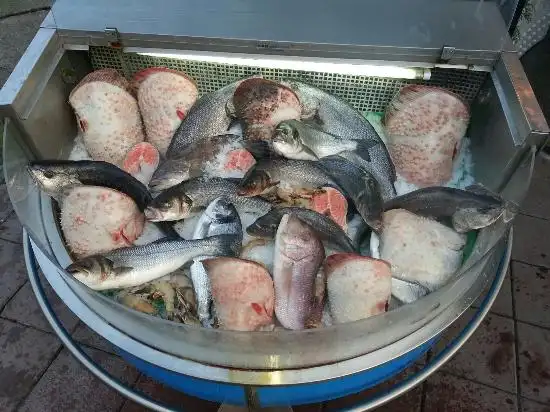 Mostra Balık'nin yemek ve ambiyans fotoğrafları 4