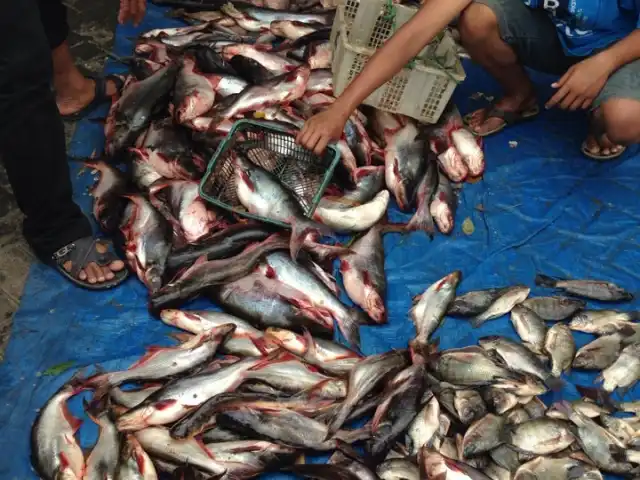 Gambar Makanan Depo "Pasar Ikan" Sidoarjo 6