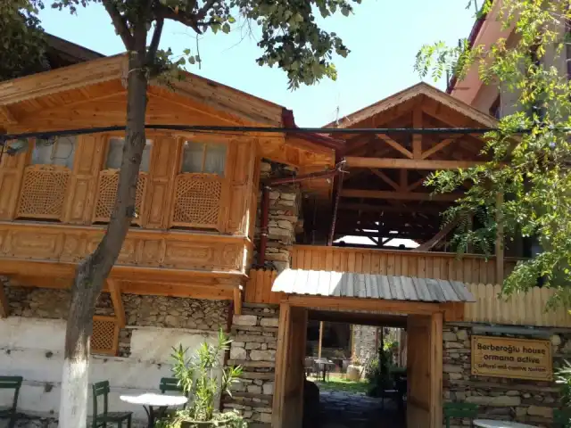 Berberoğlu House Ormana Active'nin yemek ve ambiyans fotoğrafları 10