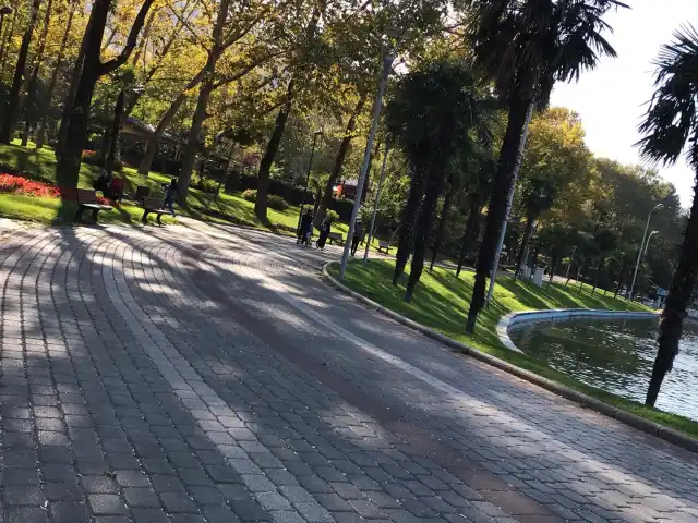 Kültürpark Orman'nin yemek ve ambiyans fotoğrafları 2