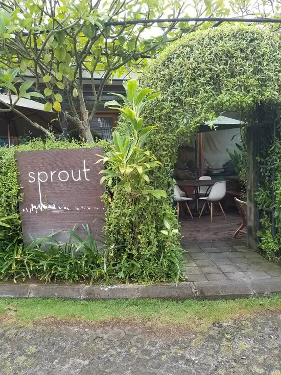 Gambar Makanan Sprout Bali 14