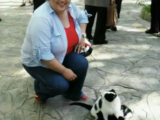 Cakırlar et mangal'nin yemek ve ambiyans fotoğrafları 5