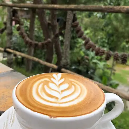 Kapitoo Glamping and Cafe