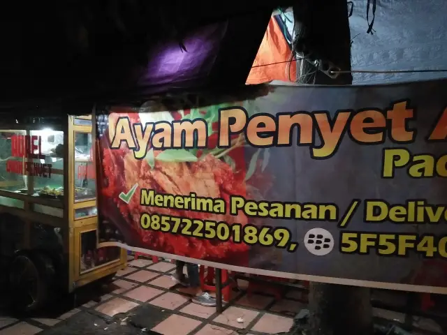 Gambar Makanan Ayam Penyet Aurel 3