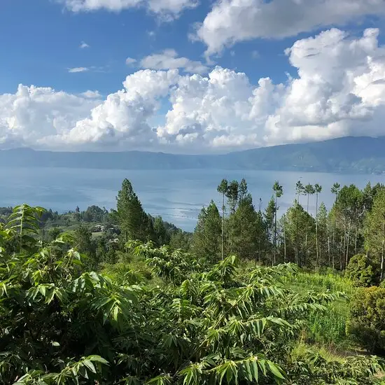 Gambar Makanan Parhallow Viewpoint and Coffee Shop 7