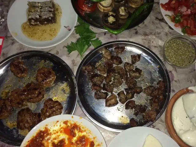 Kızılören Mangal Keyfi'nin yemek ve ambiyans fotoğrafları 15