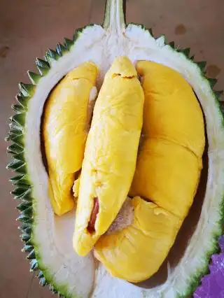 Bentong Durian King