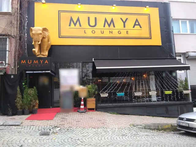 Mumya Lounge'nin yemek ve ambiyans fotoğrafları 1