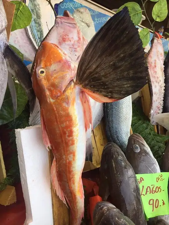 Coşkun Balık'nin yemek ve ambiyans fotoğrafları 25