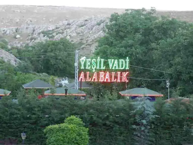 Yesil Vadi Alabalik'nin yemek ve ambiyans fotoğrafları 2