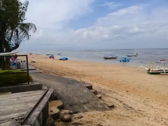 Gambar Makanan Barramundi Sanur 13