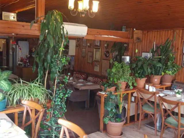 Sabırtaşı Restoran'nin yemek ve ambiyans fotoğrafları 37