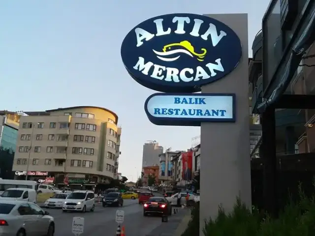 Altın Mercan Balık Restaurant'nin yemek ve ambiyans fotoğrafları 3