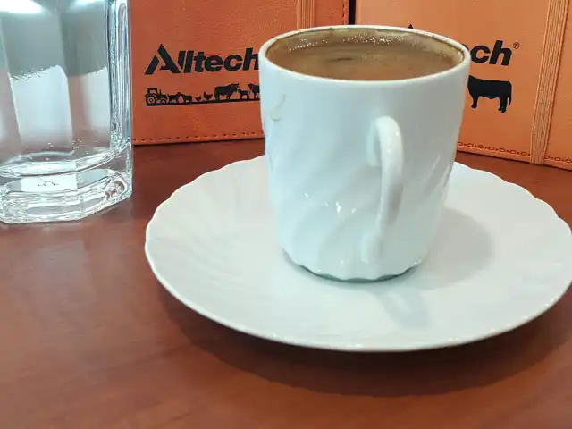 Alltech Café Bistro'nin yemek ve ambiyans fotoğrafları 1