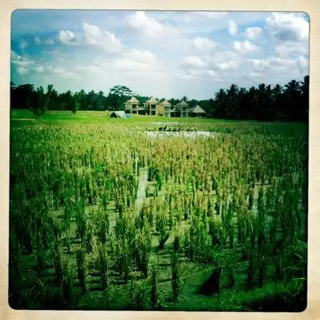 Gambar Makanan Ubud Float Garden 3