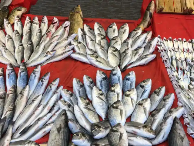 Ziyade Balık'nin yemek ve ambiyans fotoğrafları 10