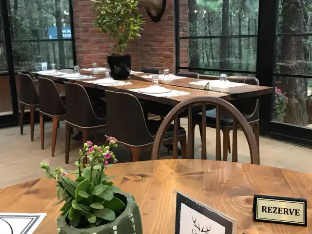 Turkcell Platinum Geyikli Restaurant'nin yemek ve ambiyans fotoğrafları 4