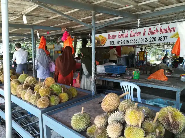 Durian Gemuk Mantin Food Photo 8