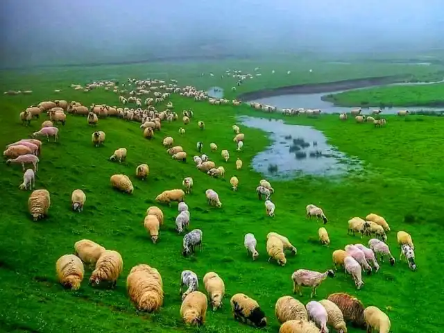 NAMLI KASAP'nin yemek ve ambiyans fotoğrafları 1