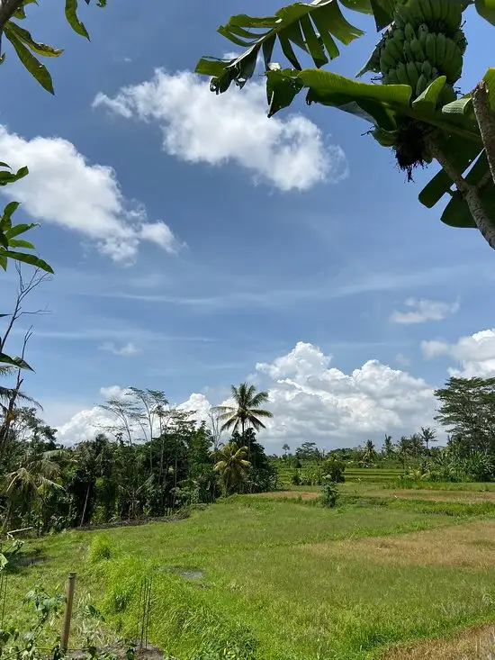 Gambar Makanan Warung Makan Padi Kuning 8