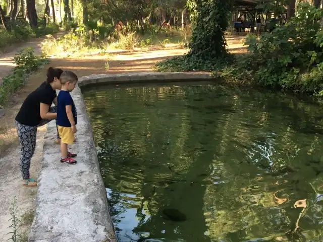 Antalya Emniyet Müdürlüğü Sosyal Tesisler'nin yemek ve ambiyans fotoğrafları 6