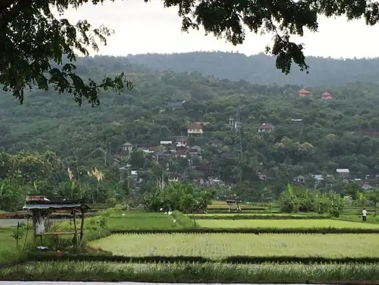 Gambar Makanan Baturiti Resto Lovina 1