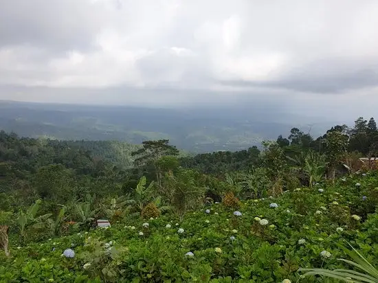 Gambar Makanan Warung Taksu 8