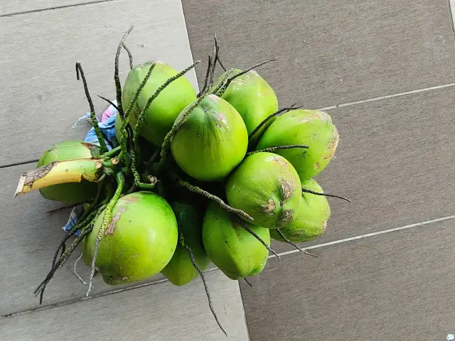 Coconut Kingdom