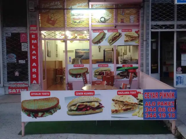 Ceyar Piknik'nin yemek ve ambiyans fotoğrafları 3
