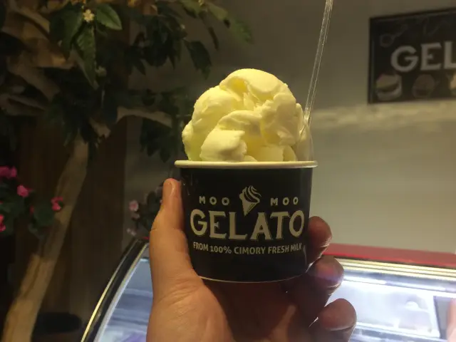 Gambar Makanan Moo Moo Gelato 2