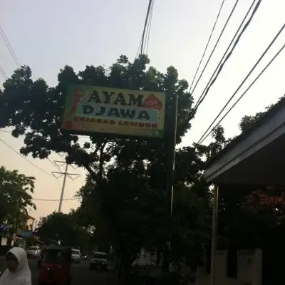 Ayam Djawa