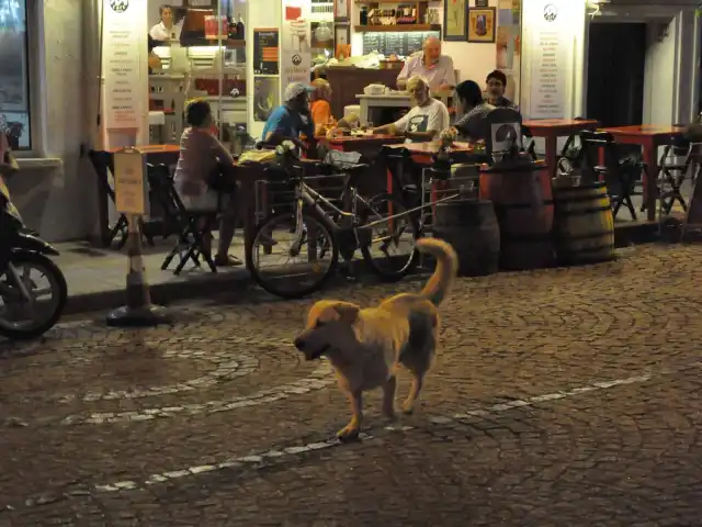 Ada Cafe'nin yemek ve ambiyans fotoğrafları 80