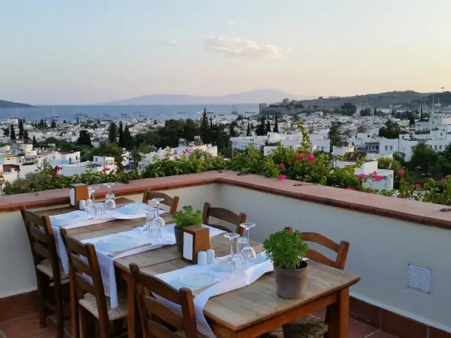 El Vino Restaurant'nin yemek ve ambiyans fotoğrafları 48